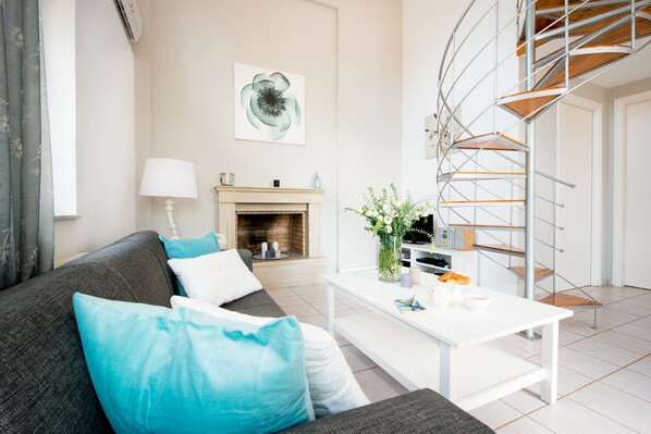 TV, fireplace, DVD player, books
