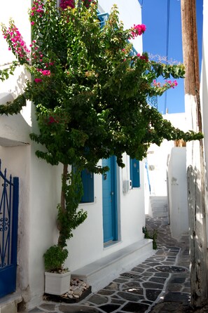 Detalle exterior