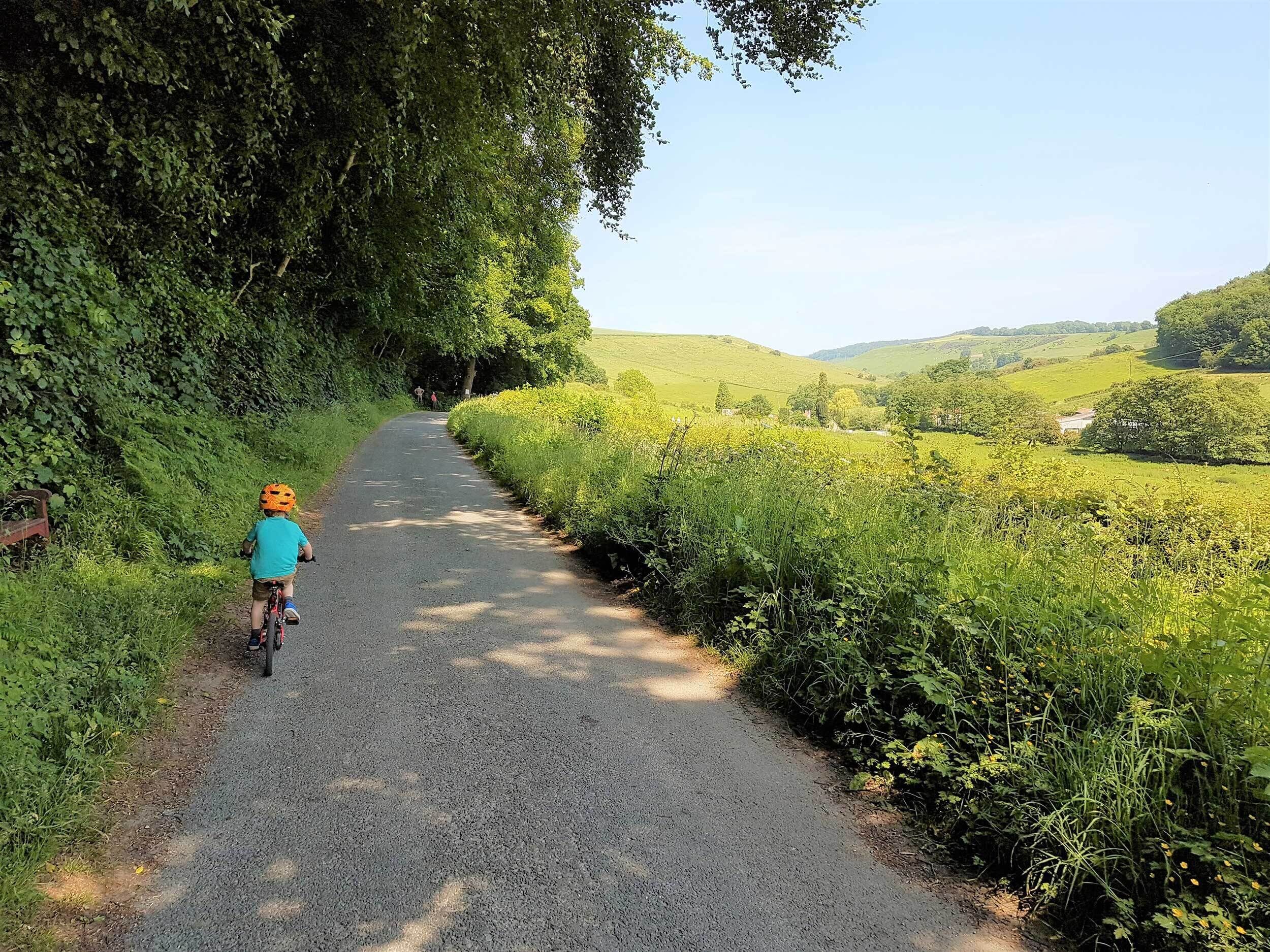 A narrow gravel path flanked by dense greenery and hills in the distance.