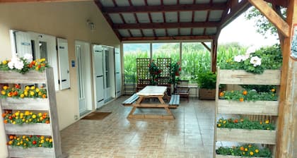 Casa / villa / chalet - St etienne les remiremont