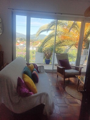 TV connectée, cheminée, livres, espaces bureaux