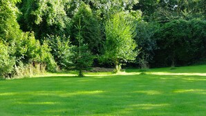 Ein grünes Feld mit Bäumen und blauem Himmel.