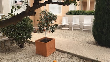 Àrea exterior de l'allotjament