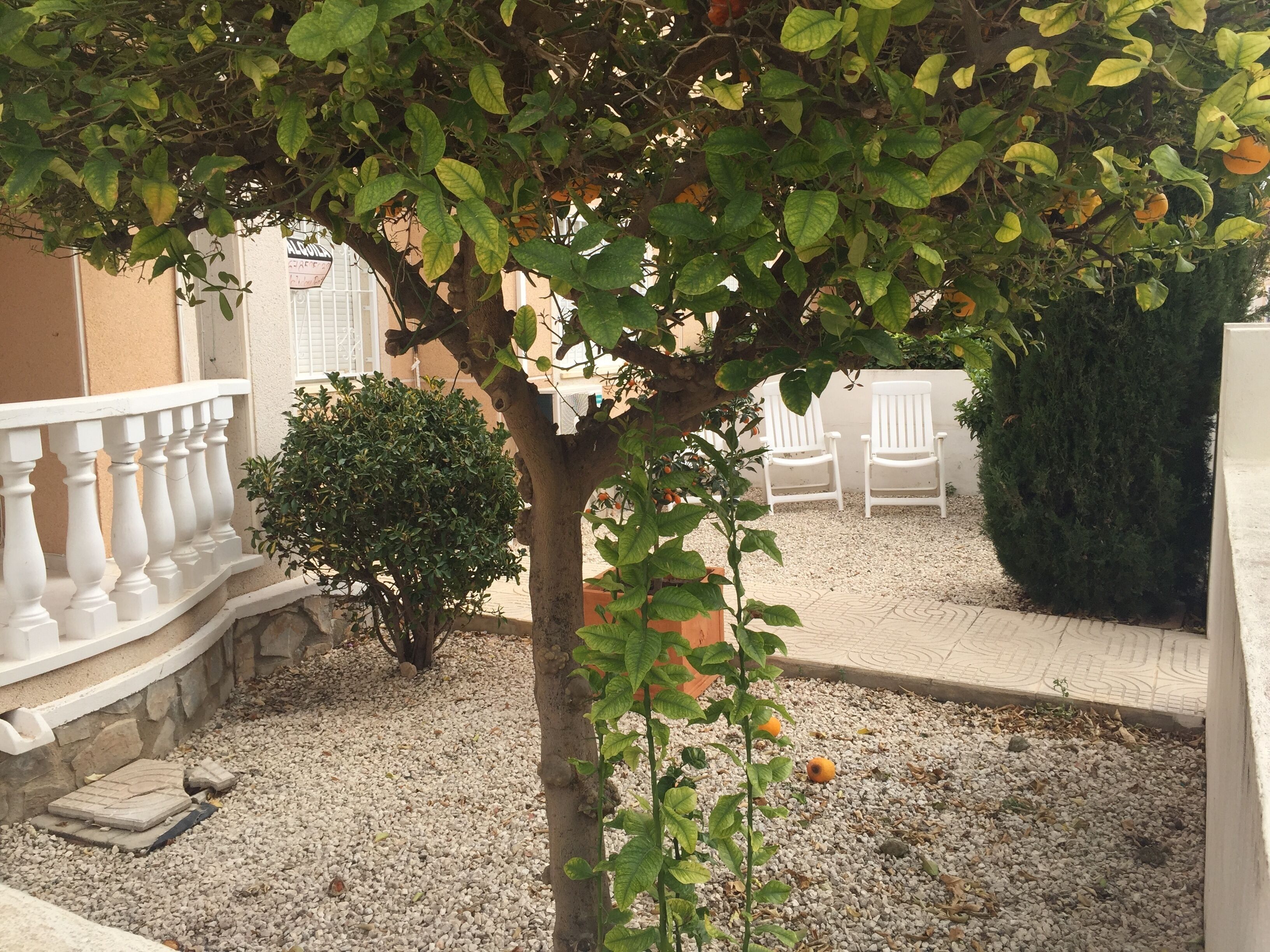 Terrasse/patio