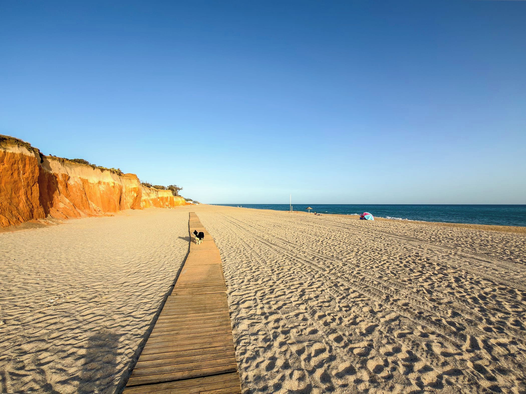 A sandy beach with a wooden boardwalk leading to the water, a dog, and a beach umbrella.