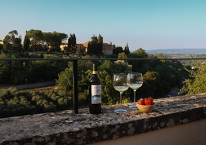 A bottle of wine, two wine glasses, and a bowl of strawberries on a balcony overlooking a vineyard.