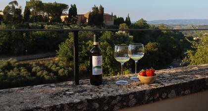 A Lovely Home in the heart Tuscany Colle di val d'Elsa near San gimignano
