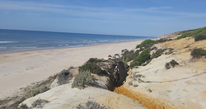 Apartamento playa y naturaleza