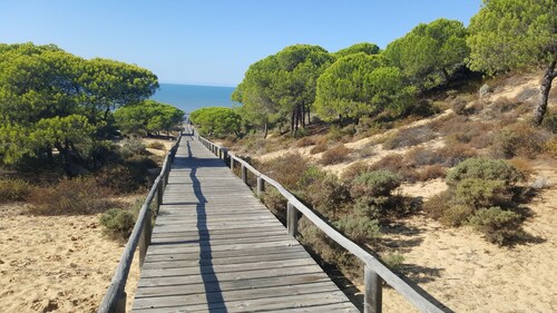 Beach and nature apartment 