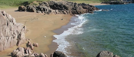 Playa en los alrededores y camastros