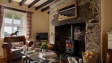 Smart TV, fireplace, DVD player, books