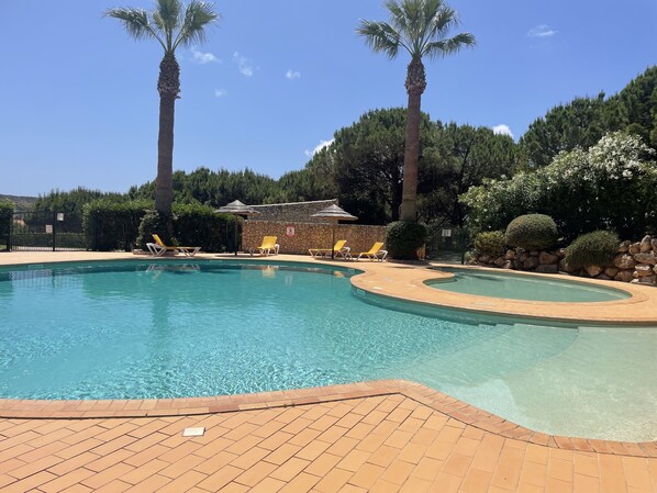 A swimming pool with clear water, surrounded by lounge chairs and palm trees.