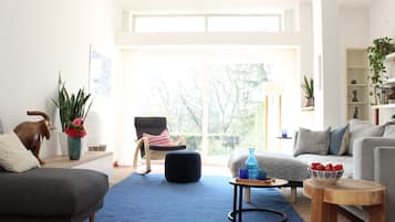 Smart TV, fireplace, foosball, books