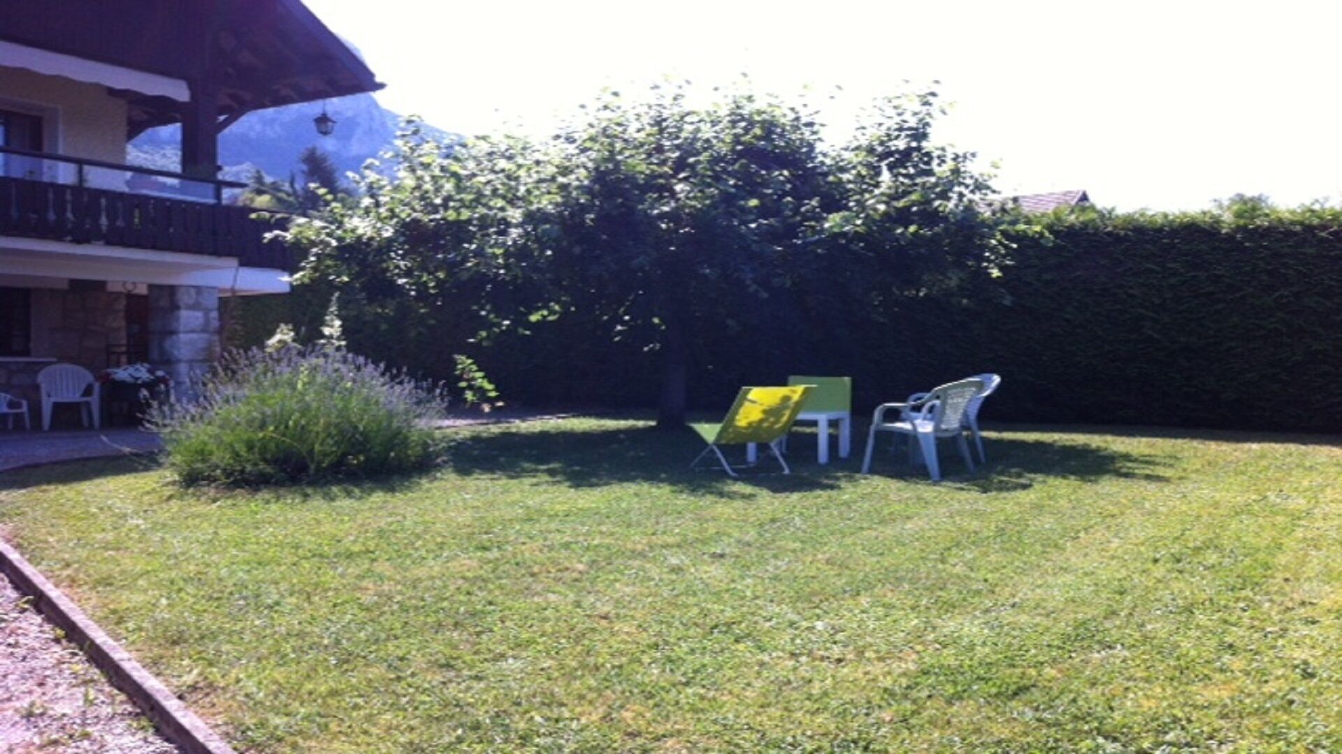A grassy yard with a small tree, a bench, and a table.