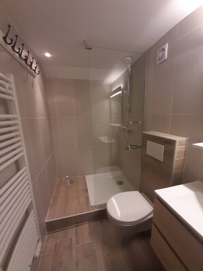 Shower, hair dryer, soap, toilet paper - F3 ground floor of a villa on the lake  (Veyrier-Du-Lac)