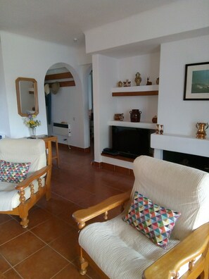 TV, fireplace, books