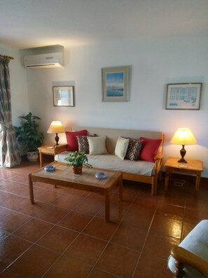 TV, fireplace, books