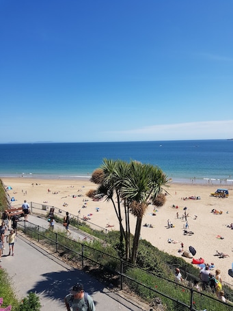 Beach. Modern Farmhouse all en suit nr Pembrokeshire & Carmarthen, Hot tub, own paddock