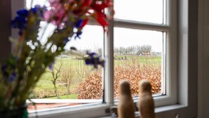 Ein Fenster mit Blick auf eine ländliche Landschaft, einschließlich Felder und Häuser.