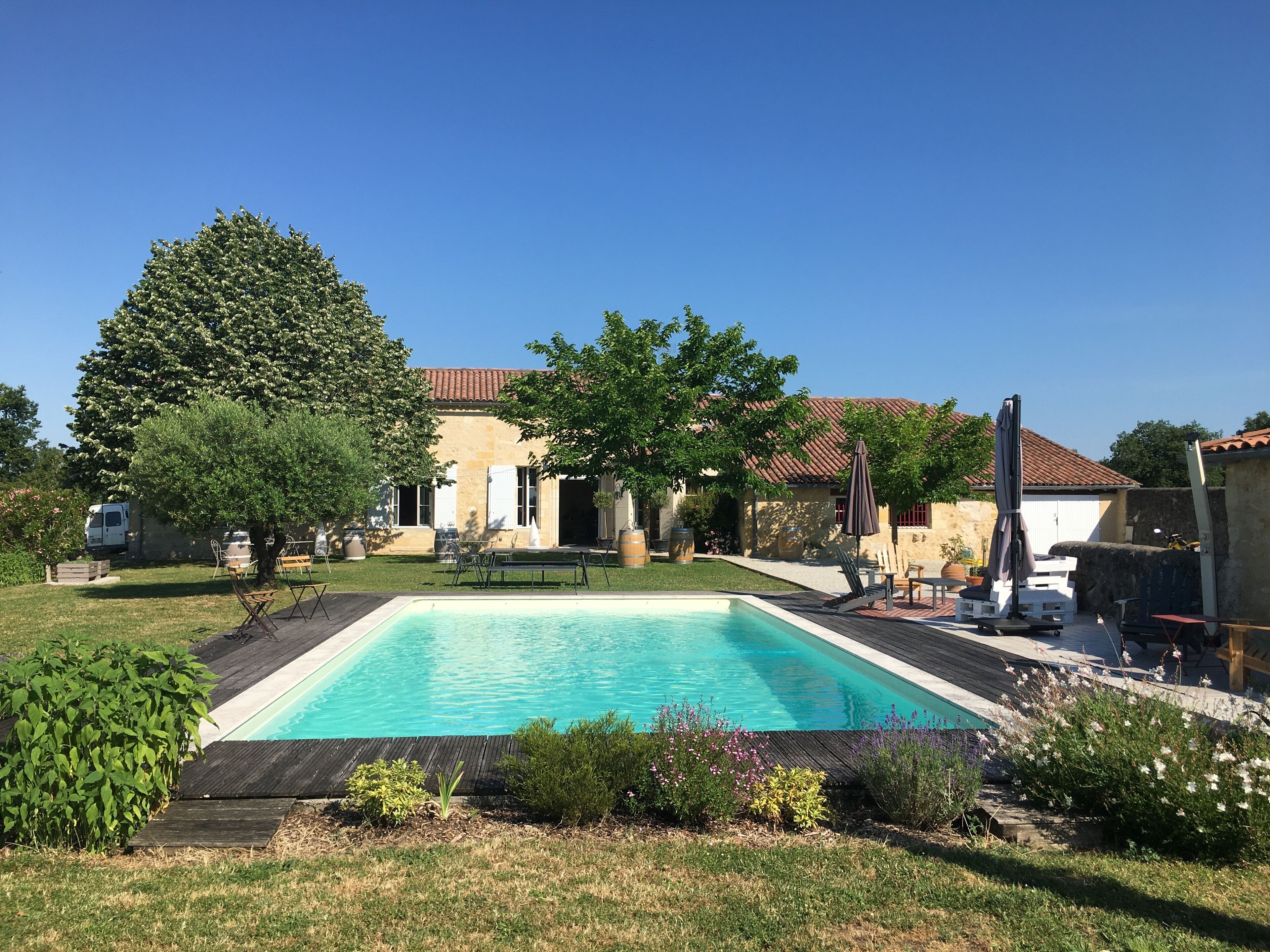 A swimming pool with a wooden deck, surrounded by a garden with various plants and a large tree.