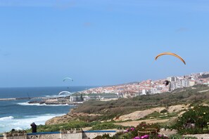 Unclassified image, 4 of 38, button