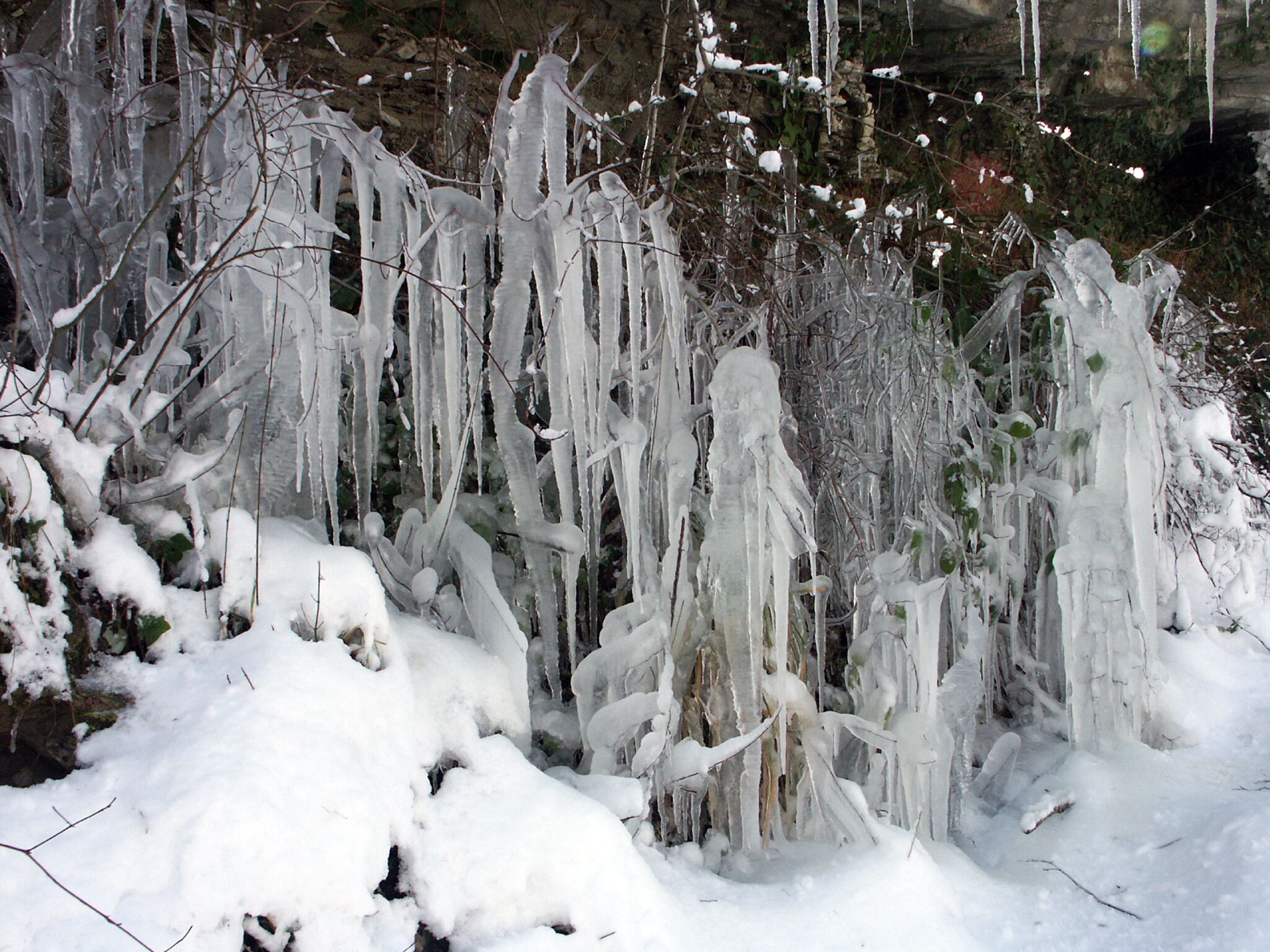滑雪运动