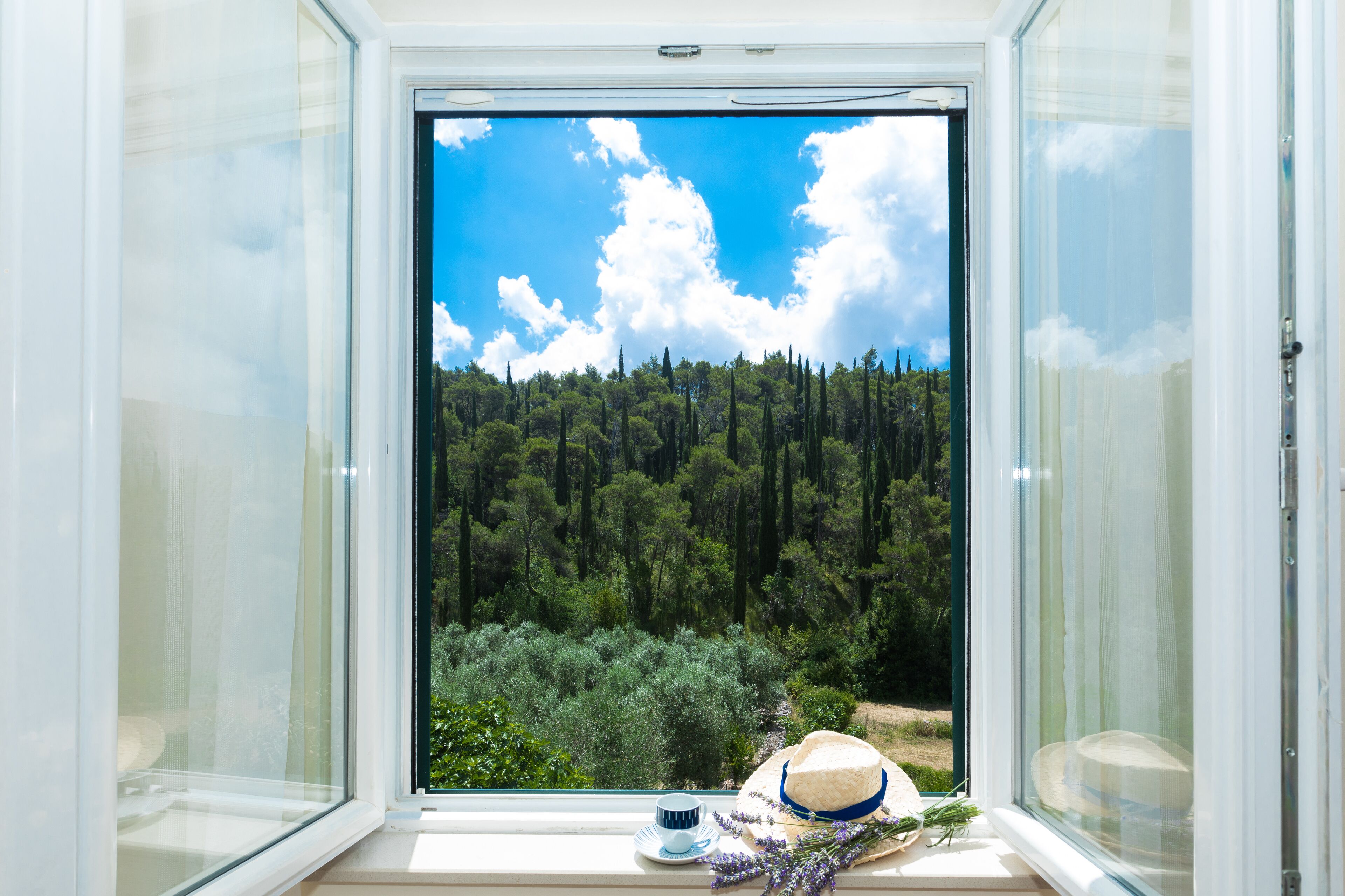 Vue depuis l’hébergement