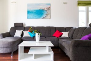 Smart TV, chimenea, reproductor de DVD y libros 