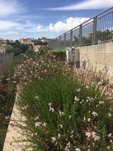 Airy, cozy, comfortable room & bathroom at the Jewish quarter of The Old City