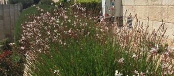 Airy, cozy, comfortable room & bathroom at the Jewish quarter of The Old City