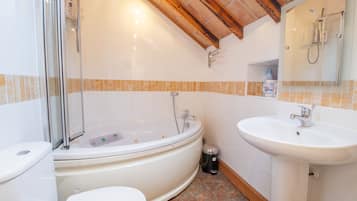 Combined shower/bathtub, jetted bath, hair dryer, bidet