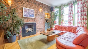 TV, fireplace, DVD player, books