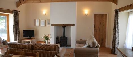 Télévision, cheminée, lecteur de DVD, livres