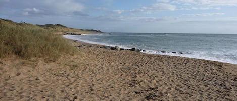 Nära stranden