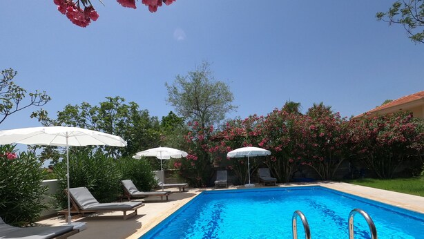 Une piscine entourée de verdure et de plantes fleuries, avec des chaises longues et des parasols.