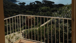 Un balcon avec vue sur la mer et la végétation environnante.