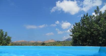 Preciosa villa independiente de 3 dormitorios con piscina con vistas a un olivar