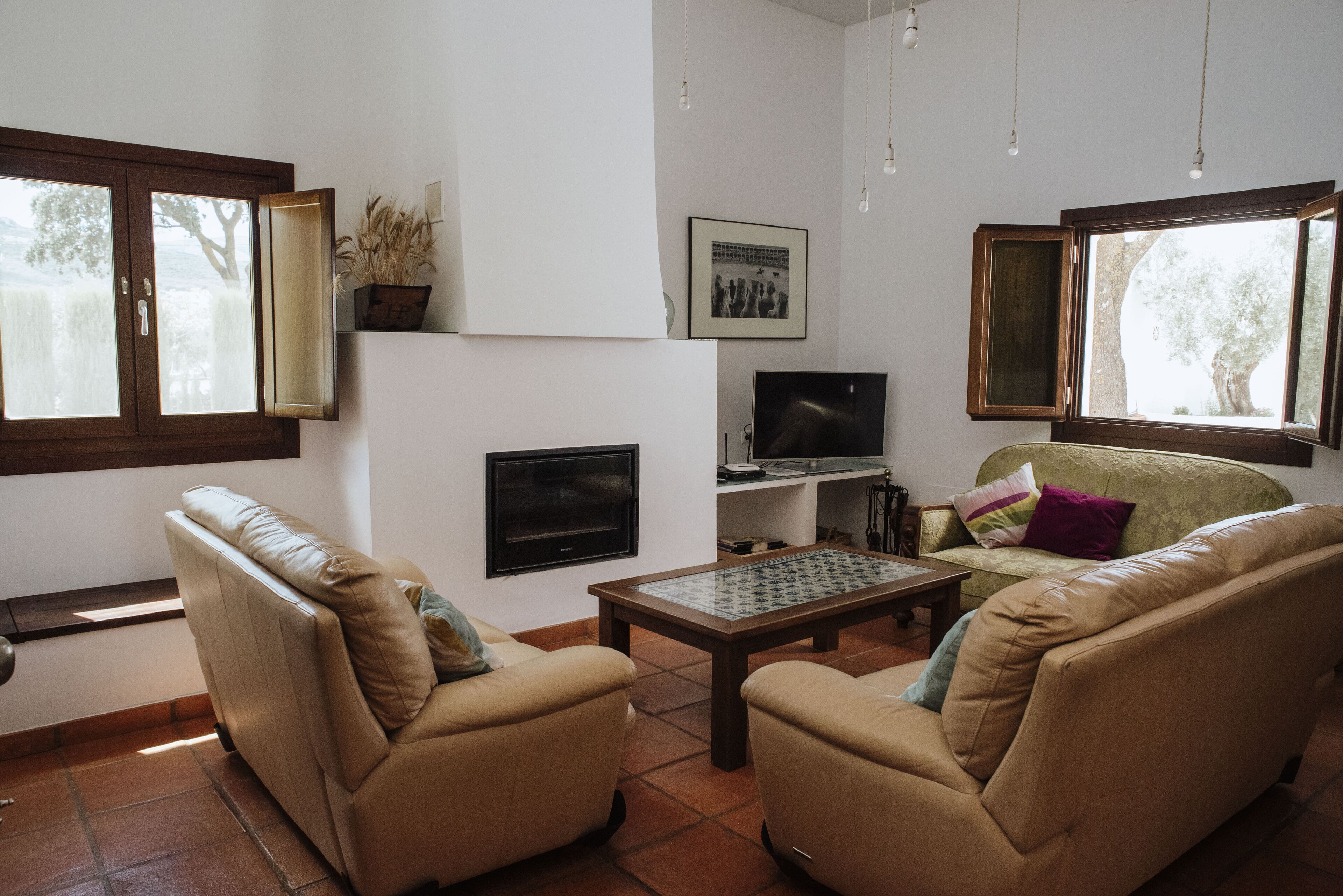 Smart-tv, een open haard, een dvd-speler en een filmbibliotheek