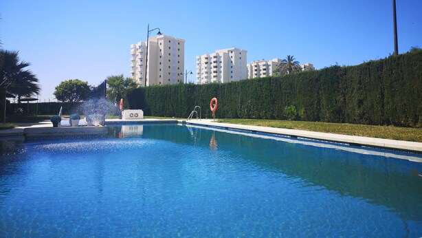 A swimming pool with a fountain, surrounded by a hedge and palm trees, with high-rise buildings in the background.