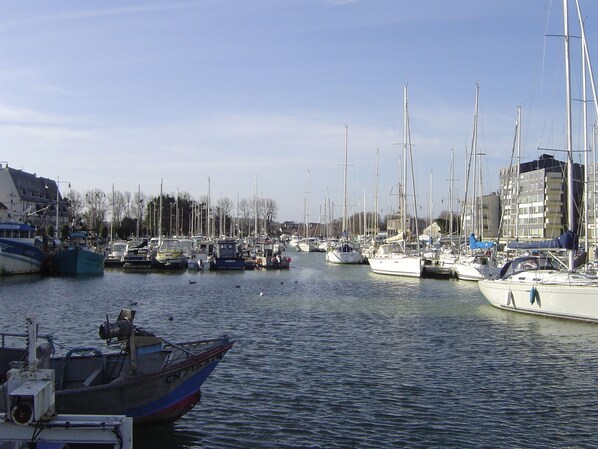 Marina