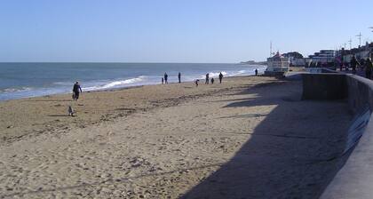 2* COURSEULLES /MER Apart BALCONY COURTYARD BBQ GARDEN SALON WIFI GARDEN VIEW.