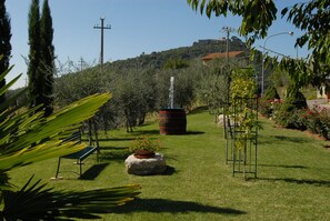 Jardines del alojamiento