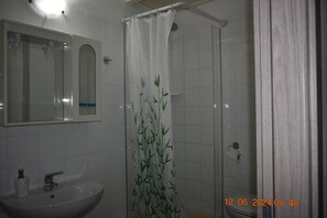Combined shower/bathtub, hair dryer, bidet, towels