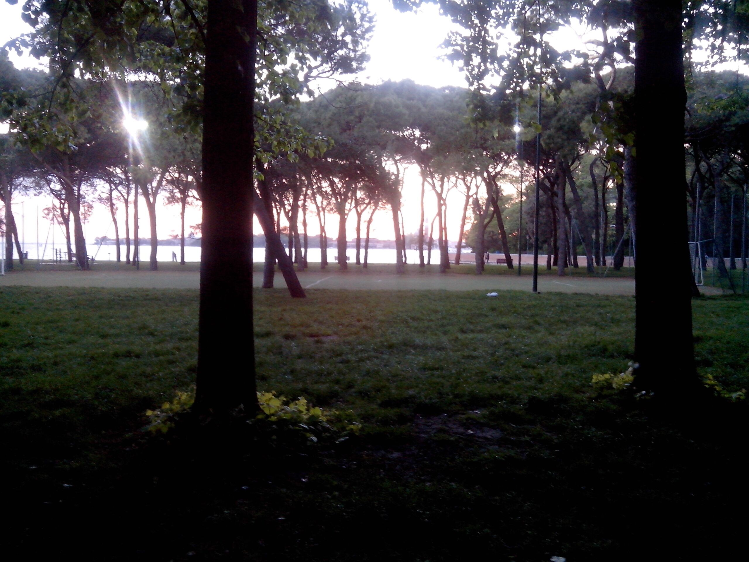 Property grounds