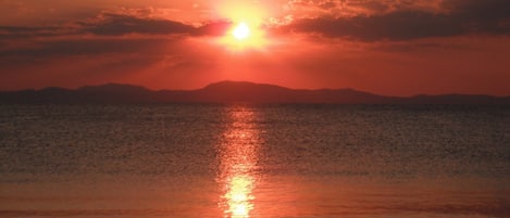 Ubicación a pie de playa, tumbonas y toallas de playa