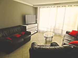 Télévision, lecteur de DVD, livres, vidéothèque