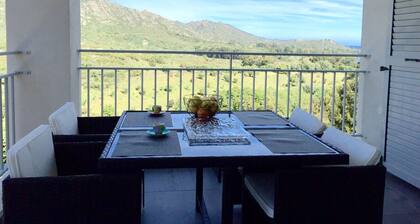 T2 of 50 m² with breathtaking view of the Golf de st florent 060