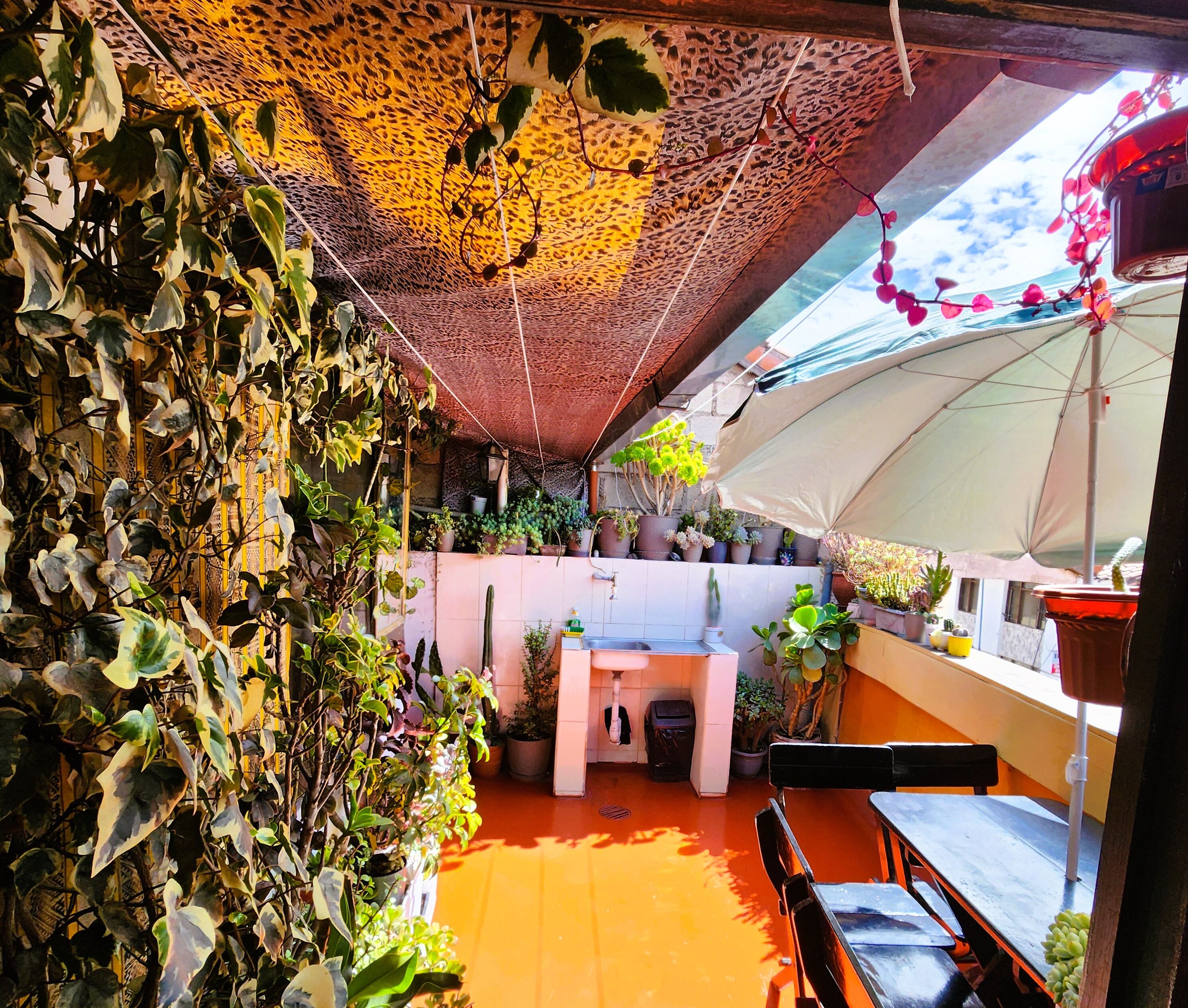 Terraza o patio