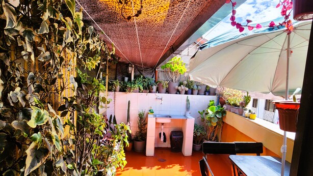 A patio area with a table, chairs, and potted plants.
