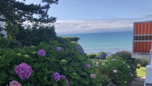 A garden with hydrangea bushes and a view of the sea.